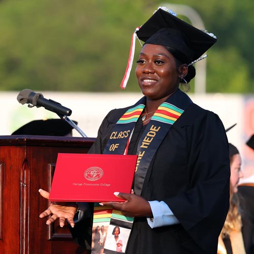 Degree Programs